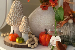 WhatsApp-Image-2025-05-21-at-4.33.38-PM