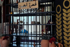 WhatsApp-Image-2025-05-21-at-4.33.43-PM